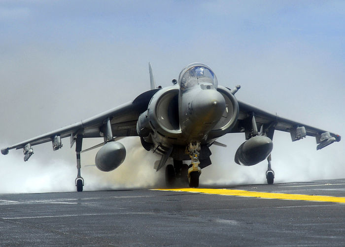 Harrier